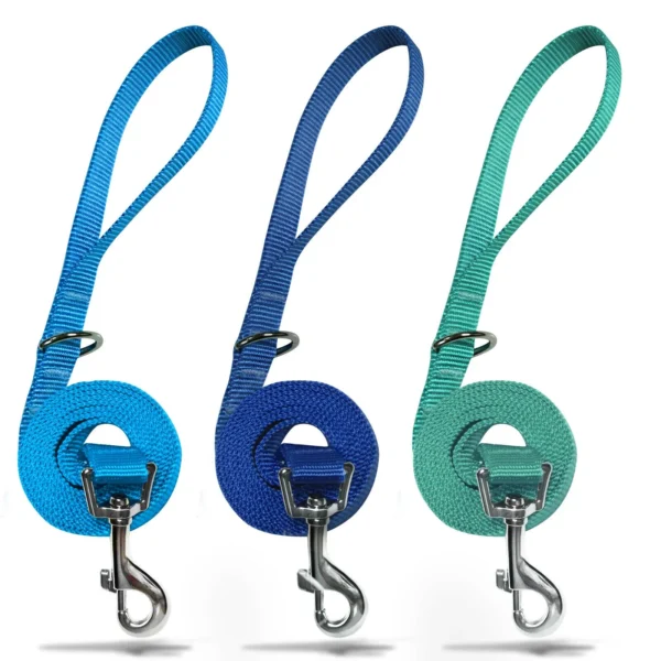 Basic Nylon Dog Lead Leash