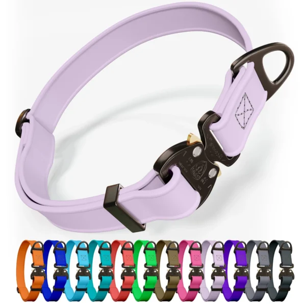 Adjustable Nylon Dog Collar with Quick-Release Buckle